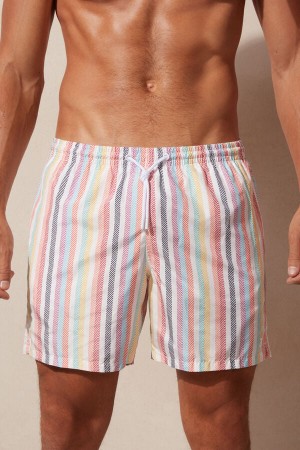 Pánské Plavky Intimissimi Multicolor Stripe Print Viacfarebný Proužek | CZ MA3296